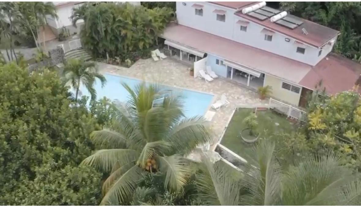 Villa Les Orchidees Et Villa Alpinia Petit-Bourg Buitenkant foto