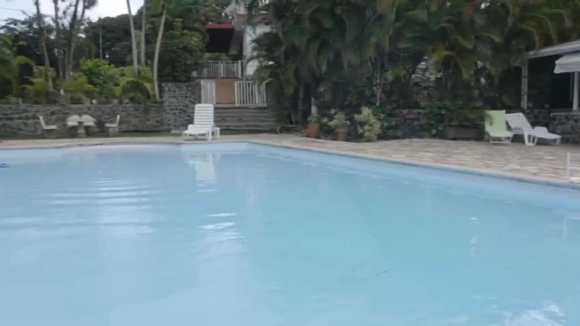 Villa Les Orchidees Et Villa Alpinia Petit-Bourg Buitenkant foto