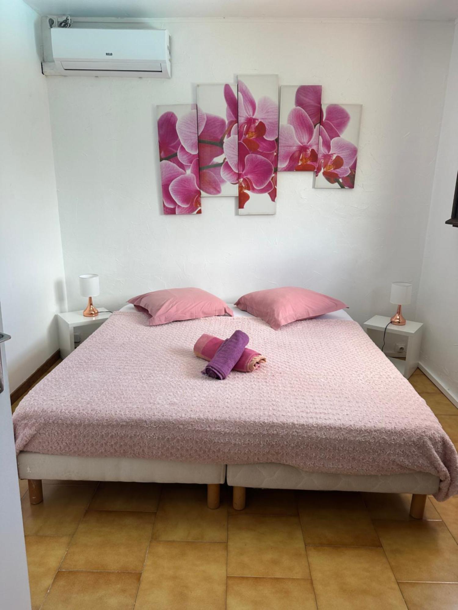 Villa Les Orchidees Et Villa Alpinia Petit-Bourg Buitenkant foto